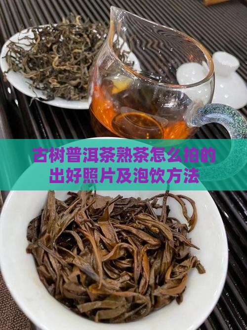 古树普洱茶熟茶怎么拍的出好照片及泡饮方法