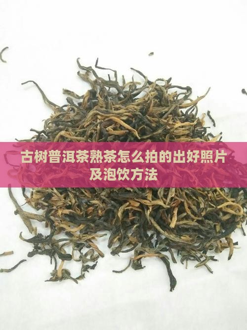 古树普洱茶熟茶怎么拍的出好照片及泡饮方法