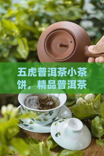 五虎普洱茶小茶饼，精品普洱茶体验