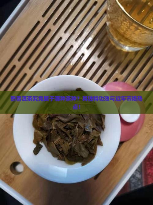 熟普洱茶究竟属于哪种茶种？其独特功效与近年市场热点！
