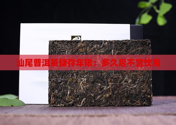 汕尾普洱茶储存年限：多久后不宜饮用