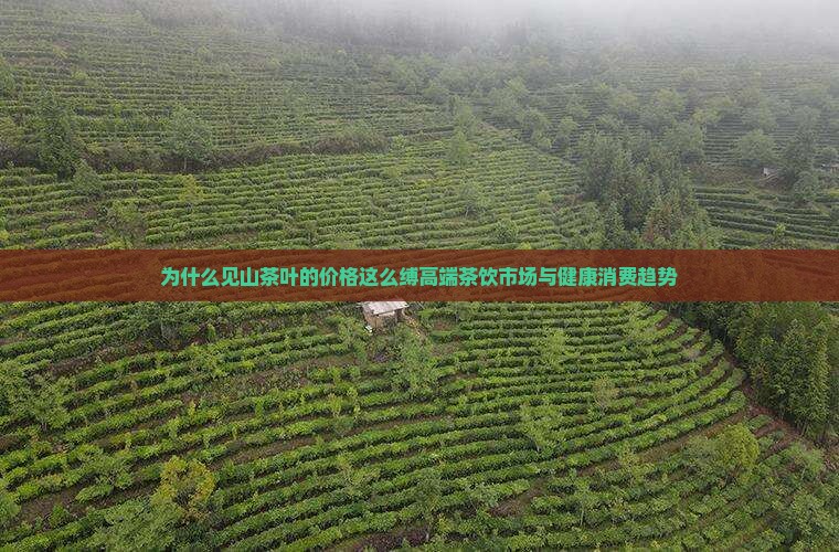 为什么见山茶叶的价格这么缚高端茶饮市场与健康消费趋势