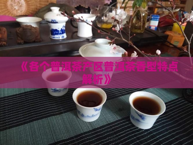 《各个普洱茶产区普洱茶香型特点解析》