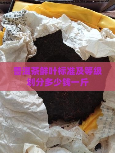 普洱茶鲜叶标准及等级划分多少钱一斤