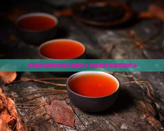 普洱茶饼存放发白还能喝吗？辨别普洱茶发霉的方法