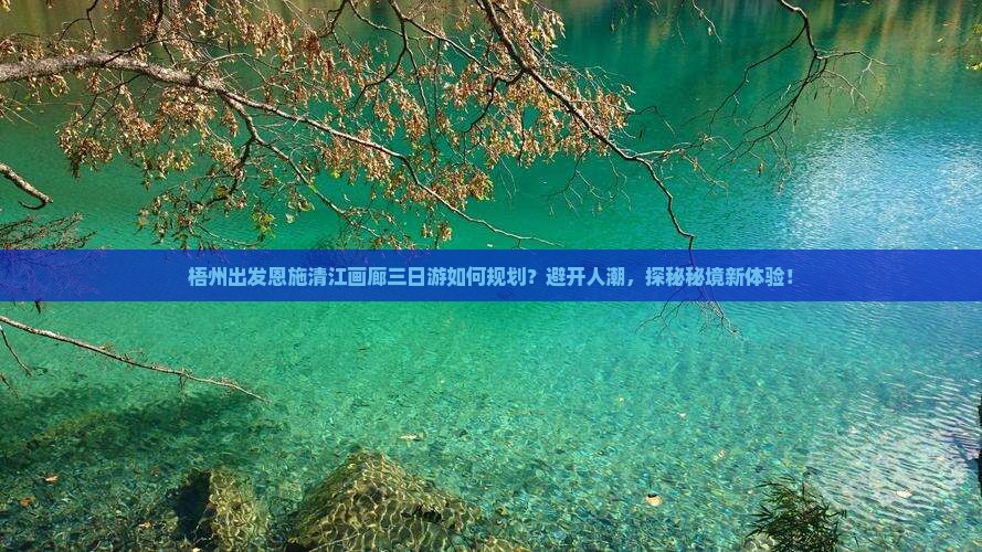 梧州出发恩施清江画廊三日游如何规划？避开人潮，探秘秘境新体验！