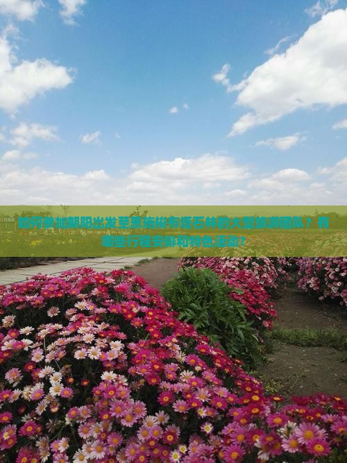 如何参加朝阳出发至恩施梭布垭石林的大型旅游团队？有哪些行程安排和特色活动？