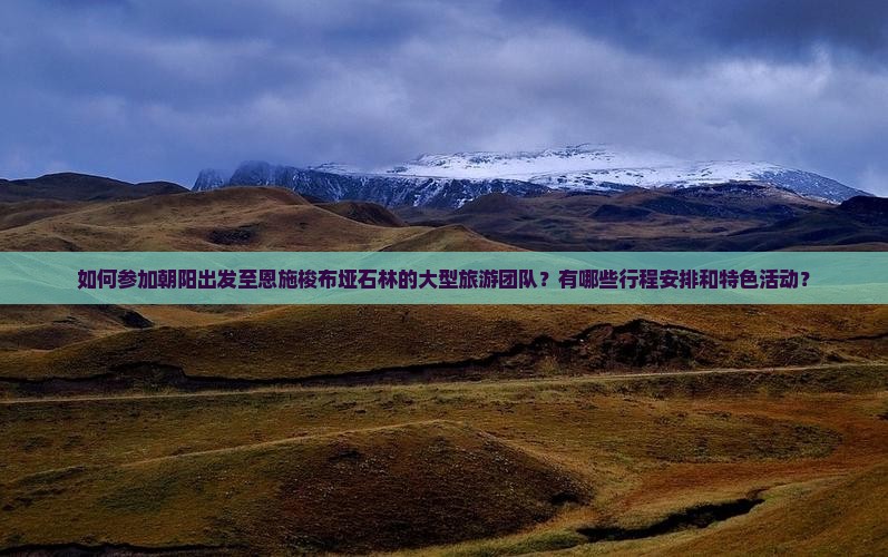 如何参加朝阳出发至恩施梭布垭石林的大型旅游团队？有哪些行程安排和特色活动？