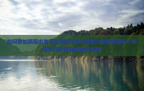 如何参加朝阳出发至恩施梭布垭石林的大型旅游团队？有哪些行程安排和特色活动？