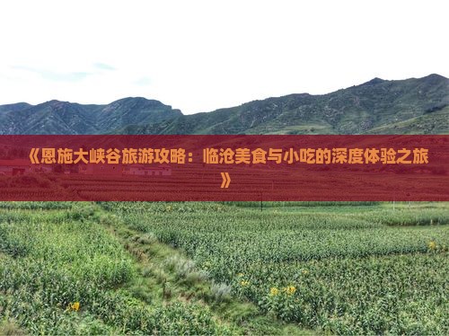 《恩施大峡谷旅游攻略：临沧美食与小吃的深度体验之旅》