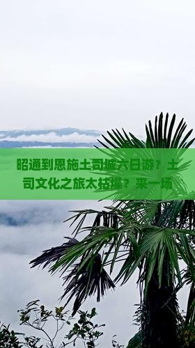 昭通到恩施土司城六日游？土司文化之旅太枯燥？来一场非遗+旅拍的深度体验！