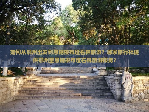 如何从鄂州出发到恩施梭布垭石林旅游？哪家旅行社提供鄂州至恩施梭布垭石林旅游服务？