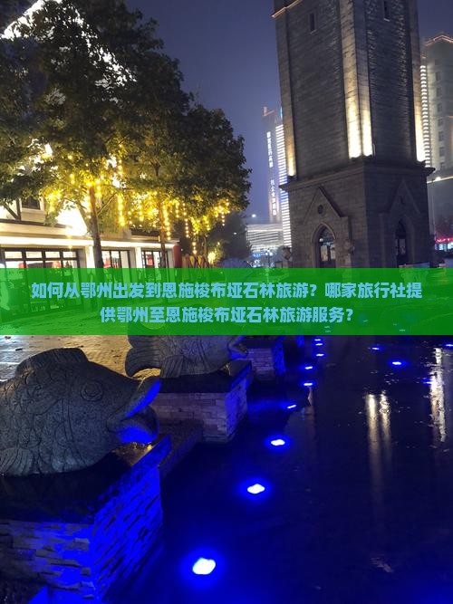 如何从鄂州出发到恩施梭布垭石林旅游？哪家旅行社提供鄂州至恩施梭布垭石林旅游服务？