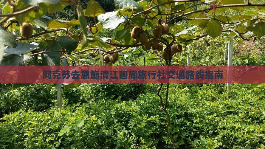 阿克苏去恩施清江画廊旅行社交通路线指南