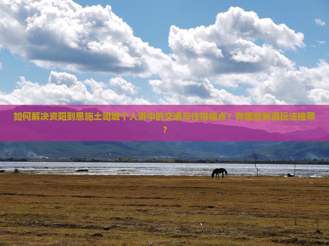 如何解决资阳到恩施土司城个人游中的交通与住宿痛点？有哪些新潮玩法推荐？