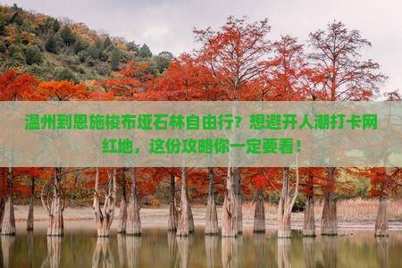 温州到恩施梭布垭石林自由行？想避开人潮打卡网红地，这份攻略你一定要看！