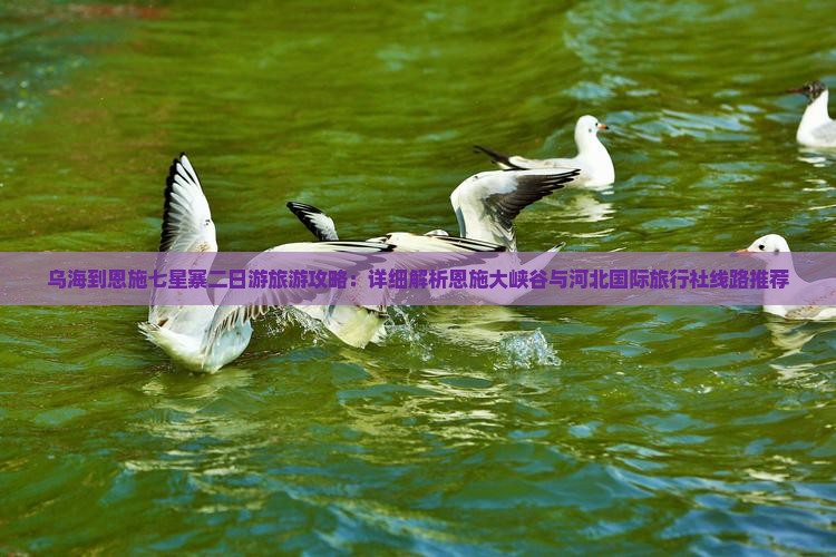 乌海到恩施七星寨二日游旅游攻略：详细解析恩施大峡谷与河北国际旅行社线路推荐