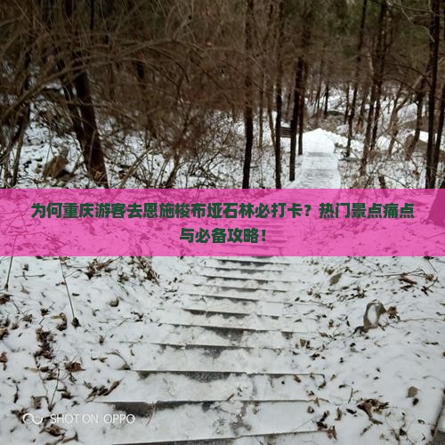为何重庆游客去恩施梭布垭石林必打卡？热门景点痛点与必备攻略！