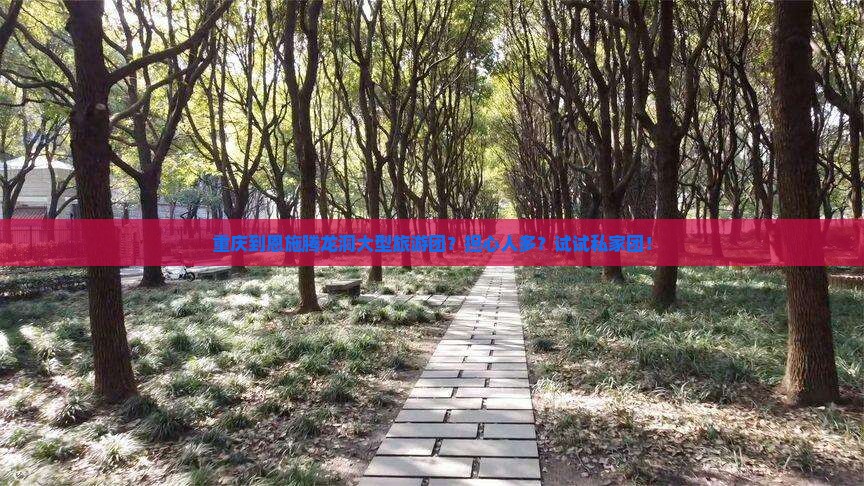 重庆到恩施腾龙洞大型旅游团？担心人多？试试私家团！