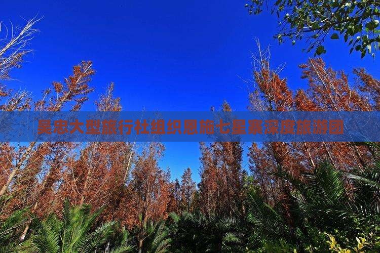 吴忠大型旅行社组织恩施七星寨深度旅游团
