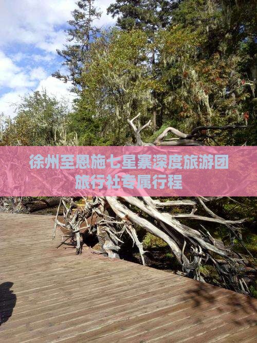 徐州至恩施七星寨深度旅游团旅行社专属行程