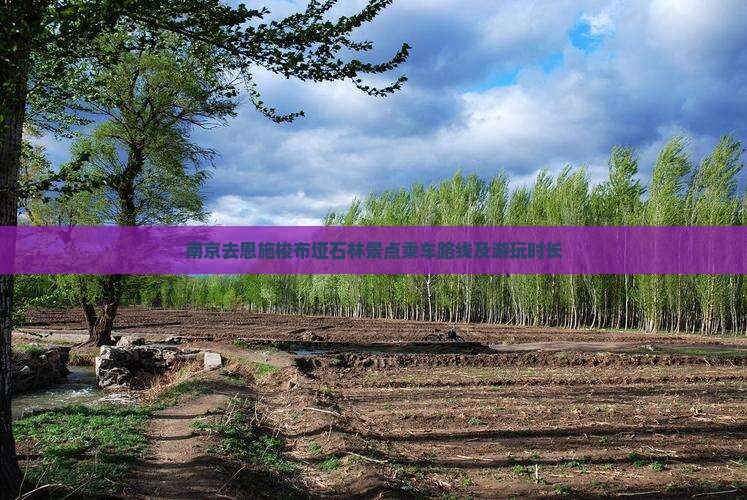 南京去恩施梭布垭石林景点乘车路线及游玩时长