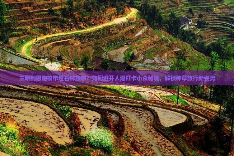 三明到恩施梭布垭石林旅游？如何避开人潮打卡小众秘境，解锁种草旅行新姿势
