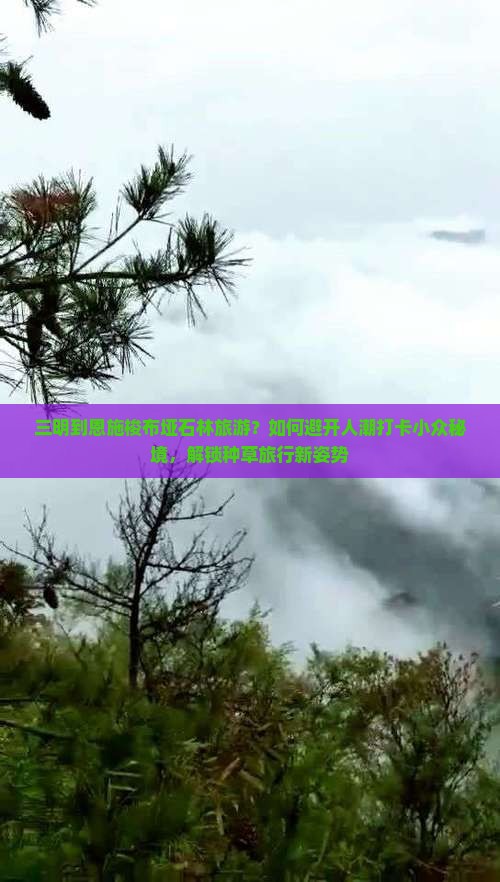 三明到恩施梭布垭石林旅游？如何避开人潮打卡小众秘境，解锁种草旅行新姿势