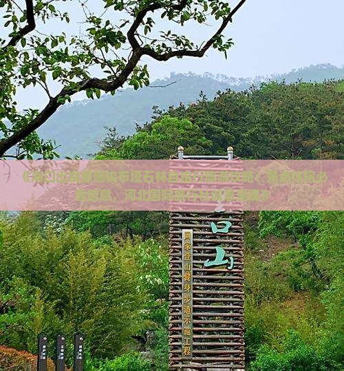 《海口出发恩施梭布垭石林自由行旅游攻略：景点住宿必看信息，河北国际旅行社诚意呈现》