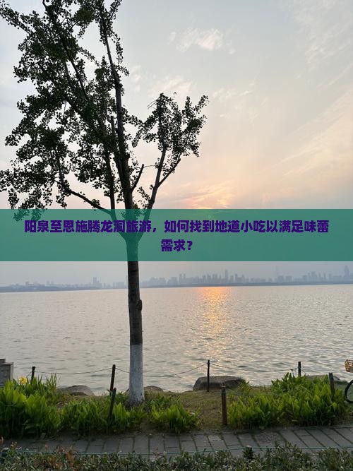 阳泉至恩施腾龙洞旅游，如何找到地道小吃以满足味蕾需求？