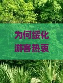 为何绥化游客热衷选择恩施七星寨旅行社？旅游新痛点下的出行首选！