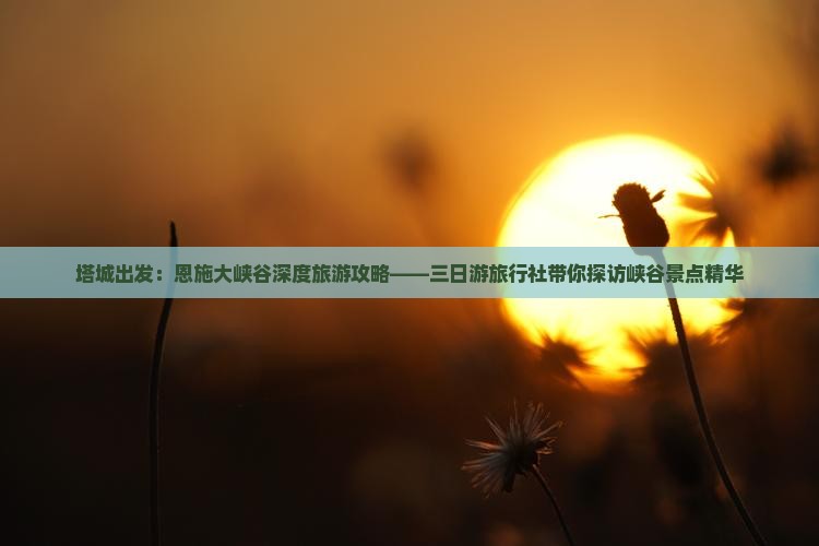 塔城出发：恩施大峡谷深度旅游攻略——三日游旅行社带你探访峡谷景点精华