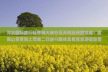 河北国际旅行社恩施大峡谷五天纯玩线路攻略：武夷山至恩施土司城二日旅行路线及看看旅游信息司城旅行攻略