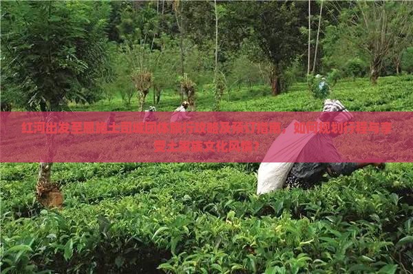 红河出发至恩施土司城团体旅行攻略及预订指南，如何规划行程与享受土家族文化风情？