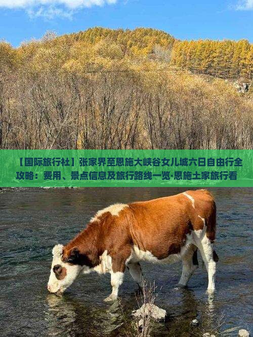 【国际旅行社】张家界至恩施大峡谷女儿城六日自由行全攻略：费用、景点信息及旅行路线一览·恩施土家旅行看看