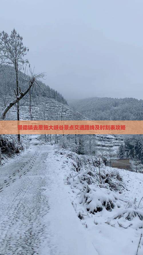 景德镇去恩施大峡谷景点交通路线及时刻表攻略