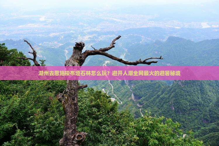 湖州去恩施梭布垭石林怎么玩？避开人潮全网最火的避暑秘境