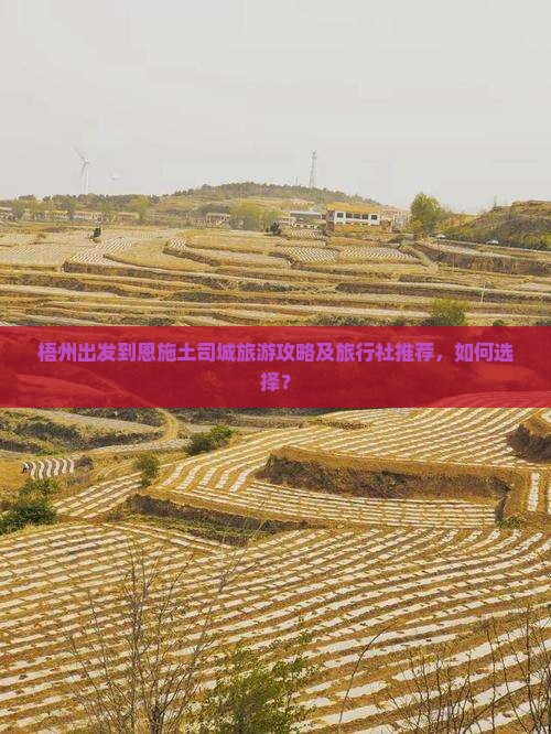 梧州出发到恩施土司城旅游攻略及旅行社推荐，如何选择？