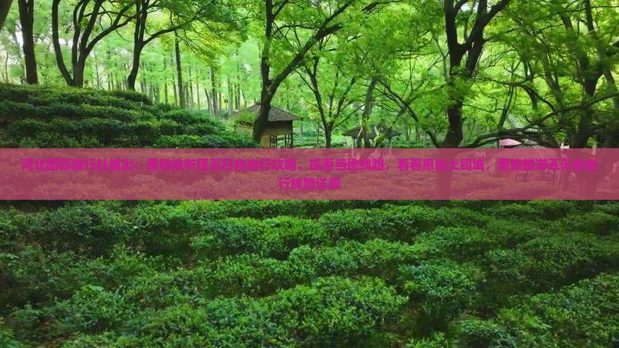 河北国际旅行社推出：恩施梭布垭五日自由行攻略，探索当地线路，看看恩施土司城，恩施旅游五天自由行线路详解