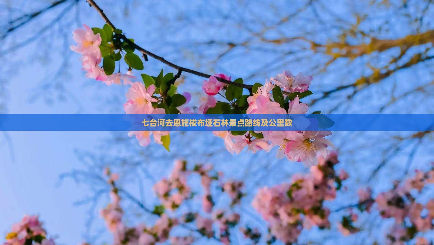 七台河去恩施梭布垭石林景点路线及公里数