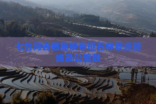 七台河去恩施梭布垭石林景点路线及公里数