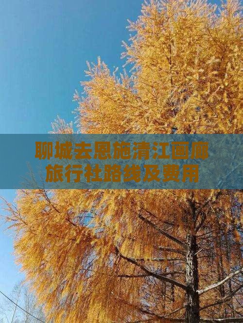 聊城去恩施清江画廊旅行社路线及费用