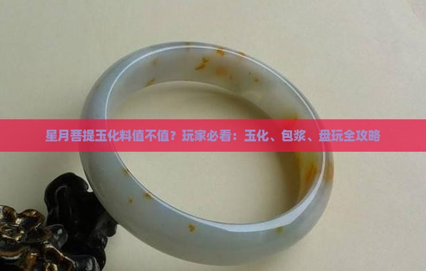 星月菩提玉化料值不值？玩家必看：玉化、包浆、盘玩全攻略