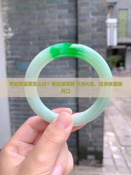 黄加黑翡翠怎么样？老坑玻璃种+天然A货，投资收藏新风口