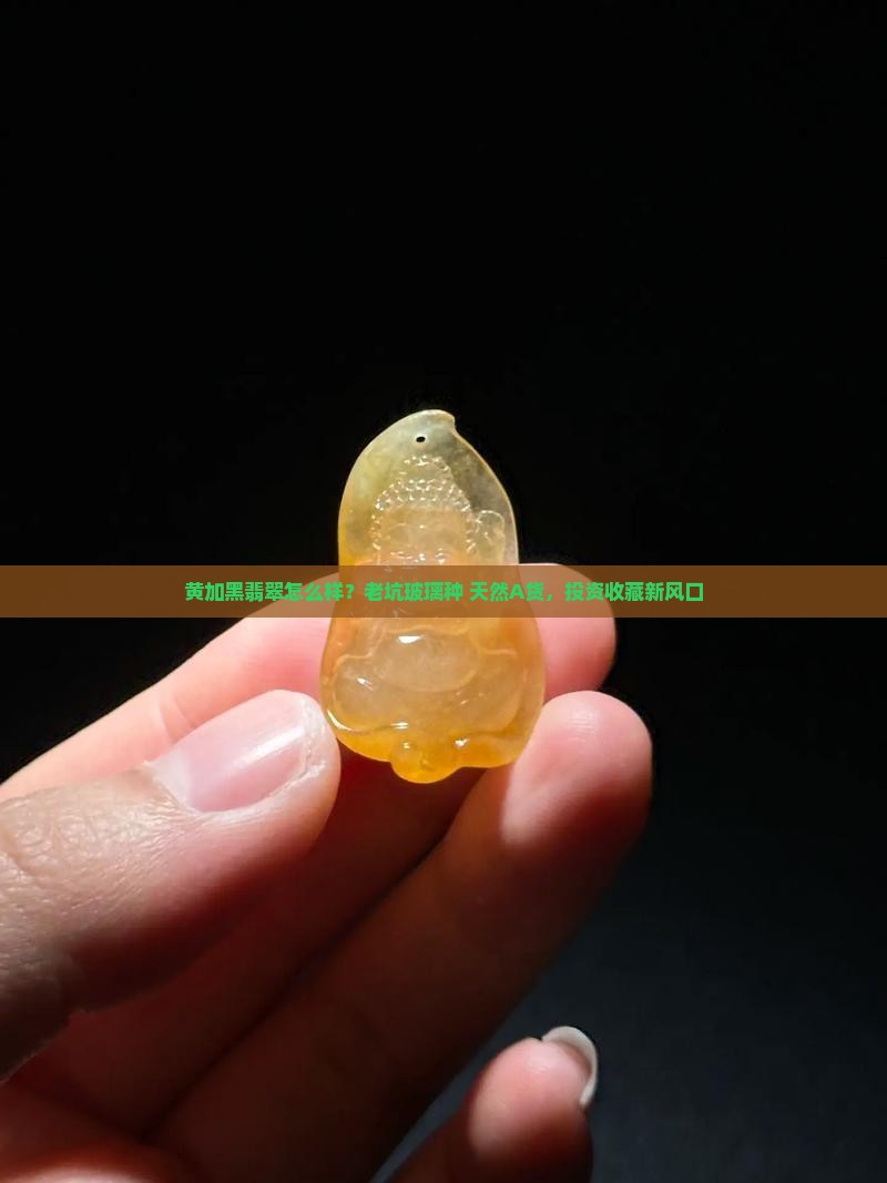 黄加黑翡翠怎么样？老坑玻璃种+天然A货，投资收藏新风口