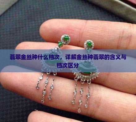 翡翠金丝种什么档次，详解金丝种翡翠的含义与档次区分