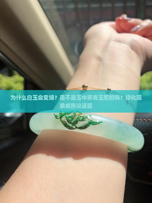为什么白玉会变绿？是不是玉中翠青玉惹的祸？绿化现象成热议话题