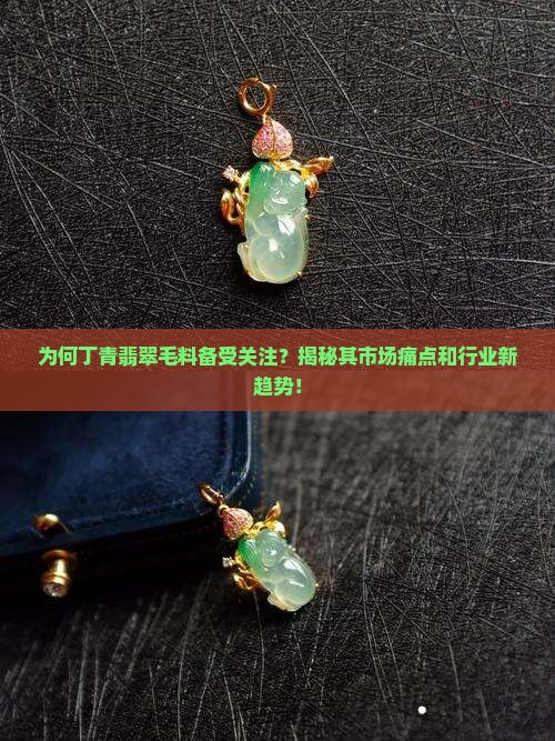 为何丁青翡翠毛料备受关注？揭秘其市场痛点和行业新趋势！