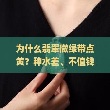 为什么翡翠微绿带点黄？种水差、不值钱是痛点，快来了解玉翠缘的新款！