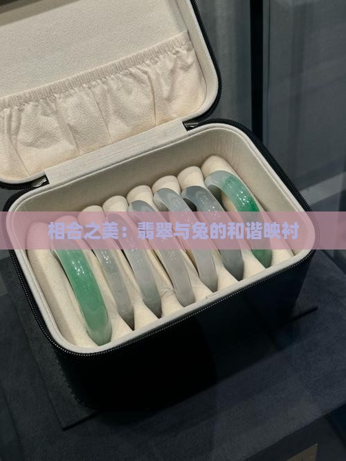 相合之美：翡翠与兔的和谐映衬